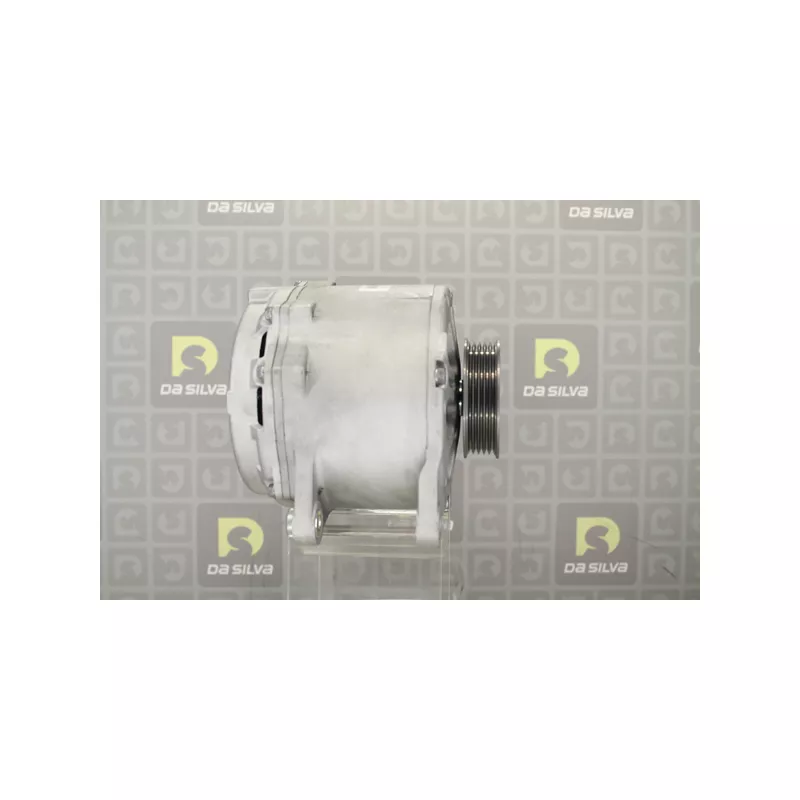 Alternateur DA SILVA 031031 - Visuel 2