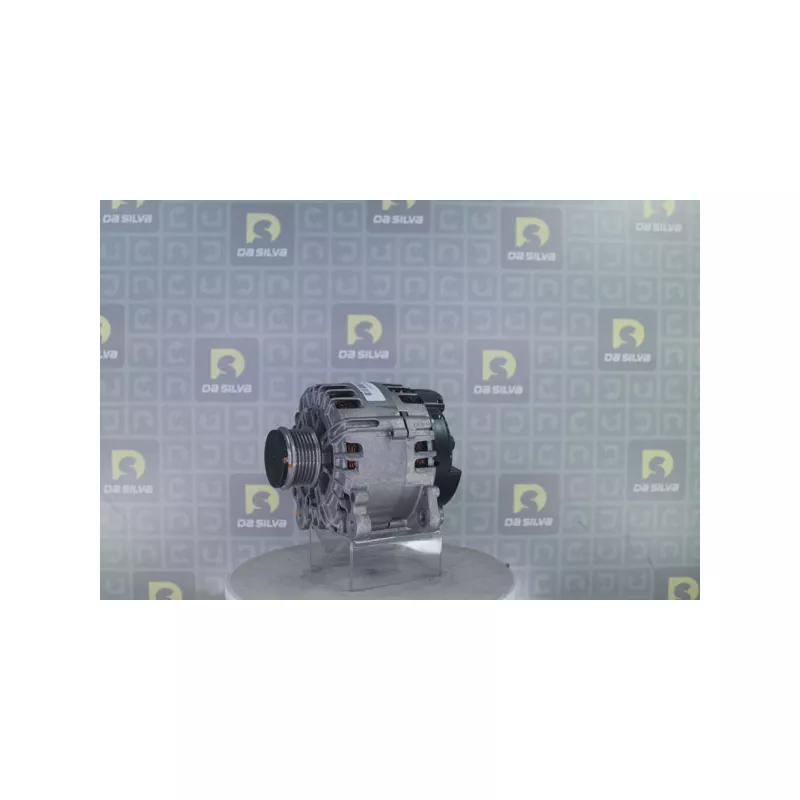 Alternateur DA SILVA 031116 - Visuel 2
