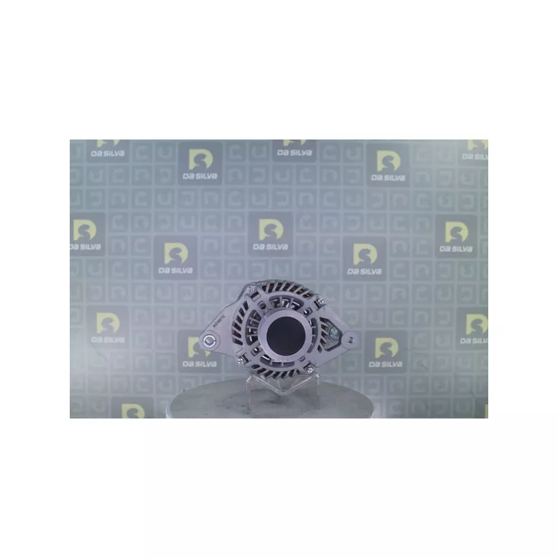 Alternateur DA SILVA 031211 - Visuel 1
