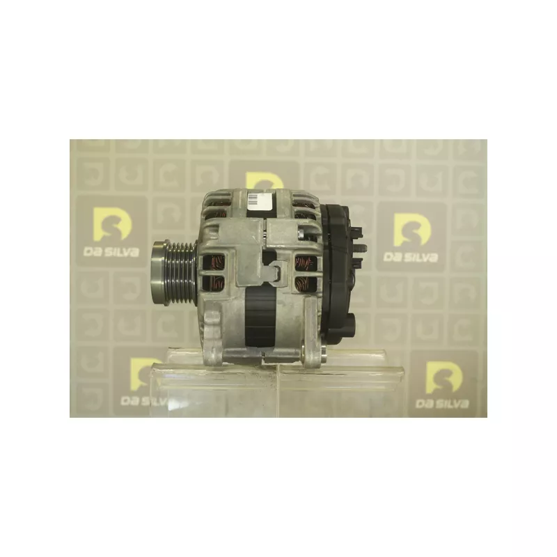 Alternateur DA SILVA 031308 - Visuel 1