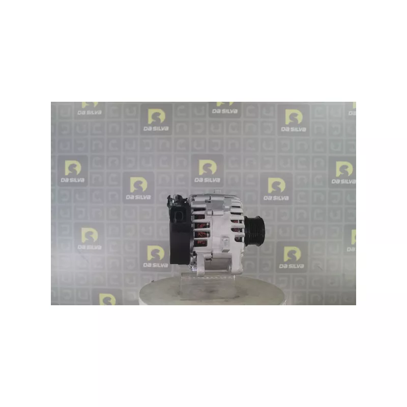 Alternateur DA SILVA 031309 - Visuel 1