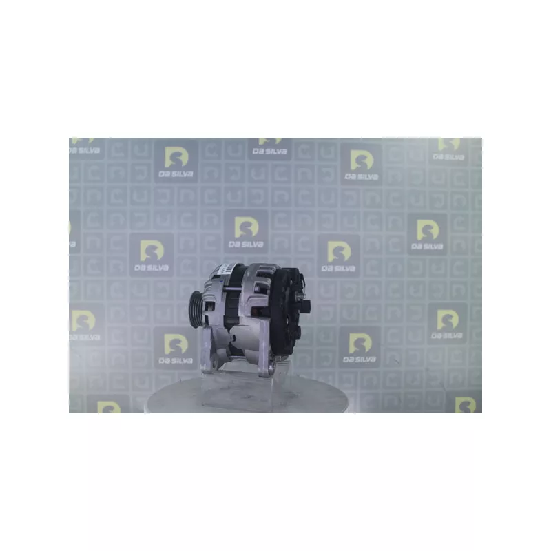 Alternateur DA SILVA 031318 - Visuel 2