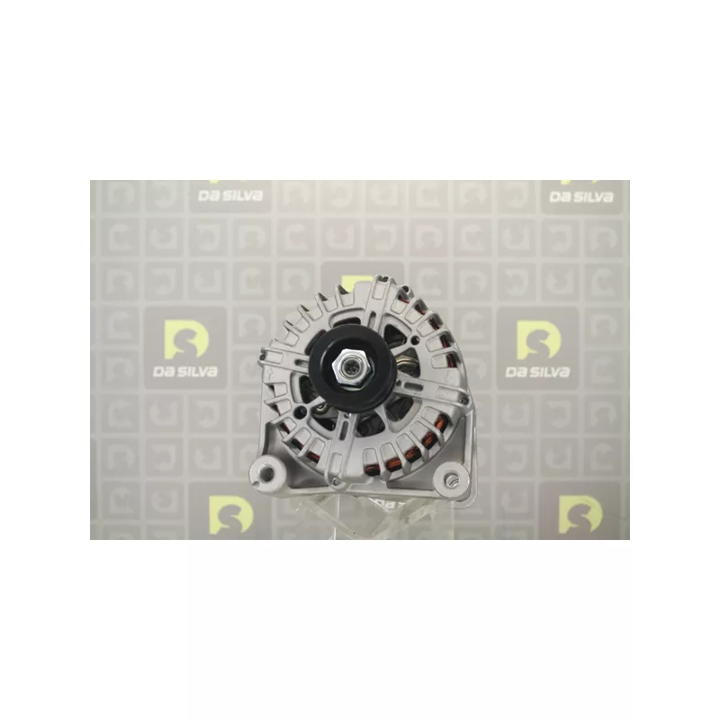Alternateur DA SILVA 031365 - Visuel 1