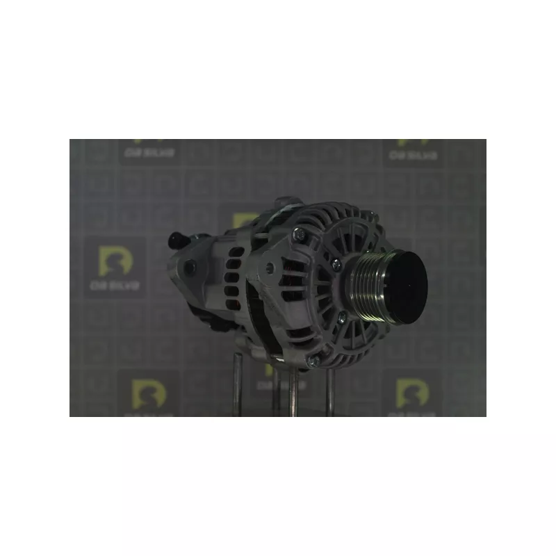 Alternateur DA SILVA 031412 - Visuel 1