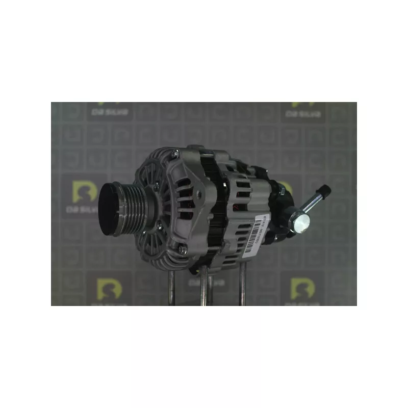 Alternateur DA SILVA 031412 - Visuel 2