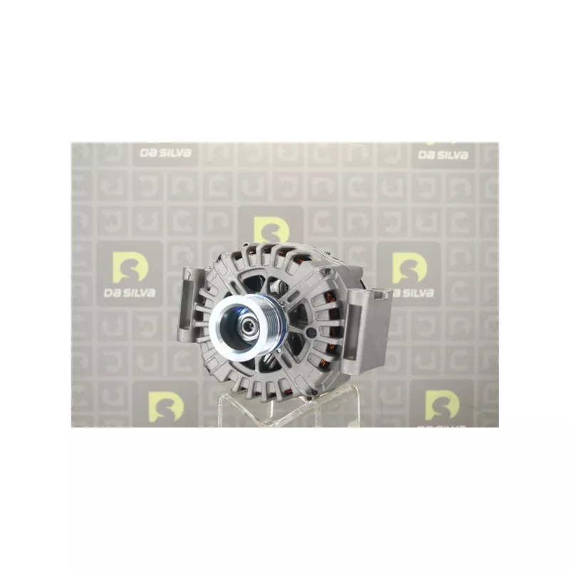 Alternateur DA SILVA 031424 - Visuel 2