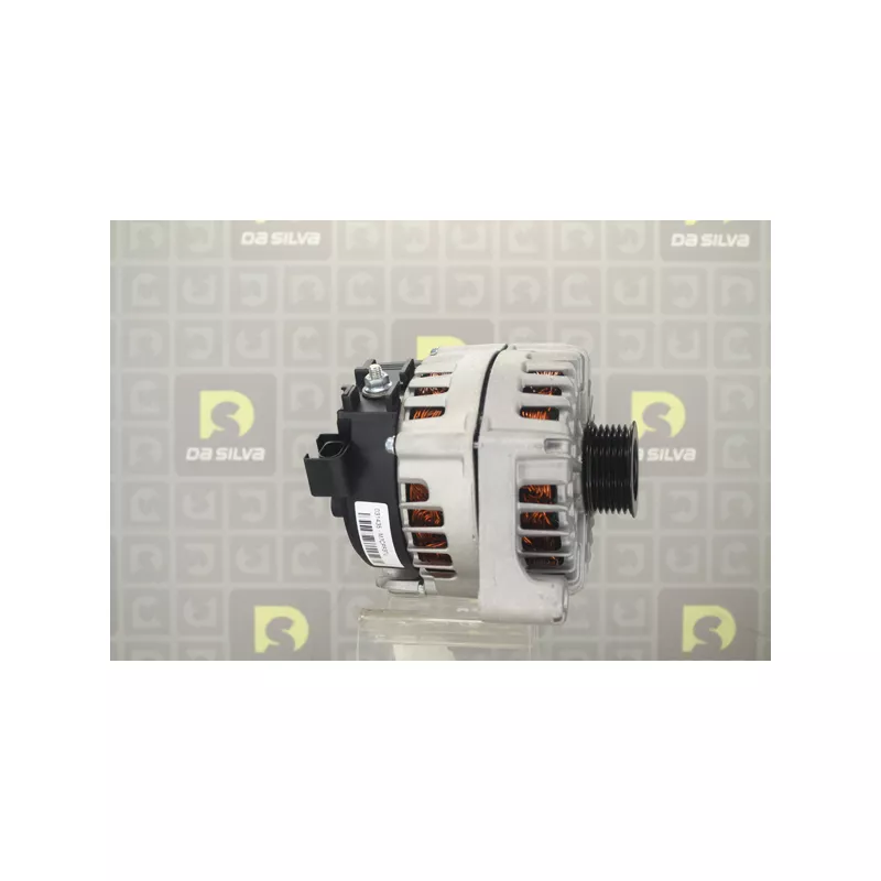 Alternateur DA SILVA 031435 - Visuel 1