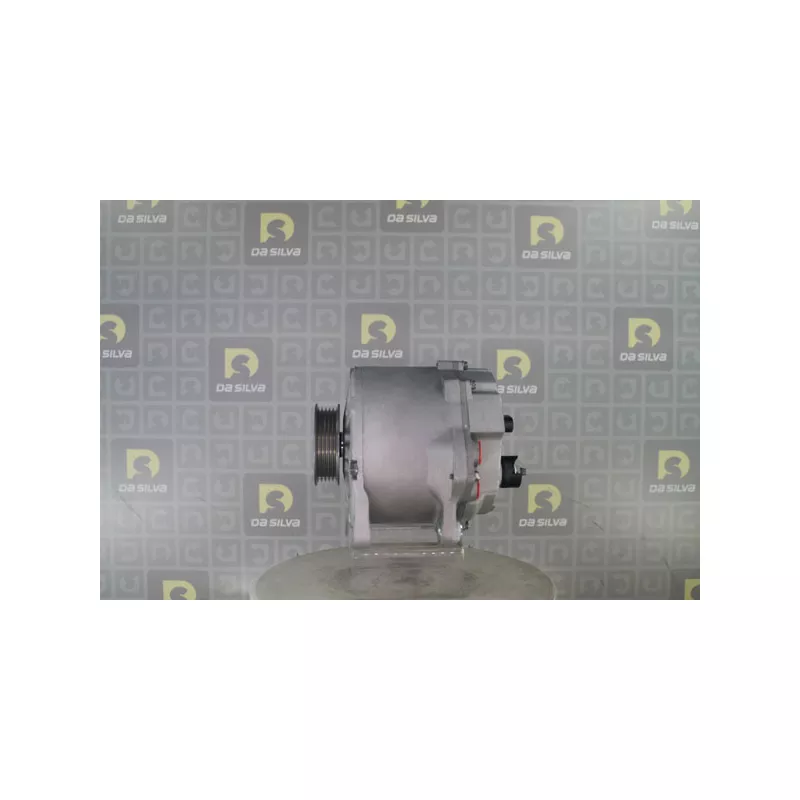 Alternateur DA SILVA 031599 - Visuel 1