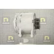 DA SILVA 031646 - Alternateur