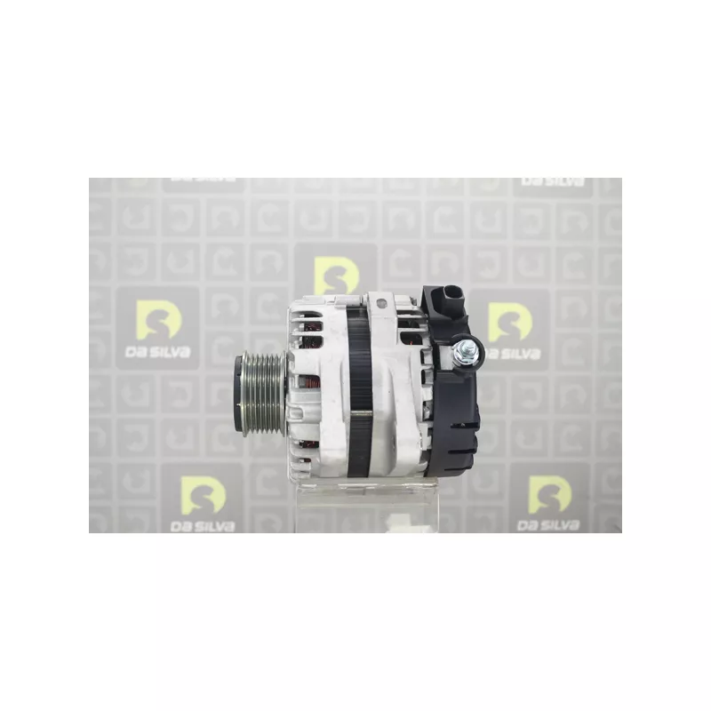 Alternateur DA SILVA 031653 - Visuel 1