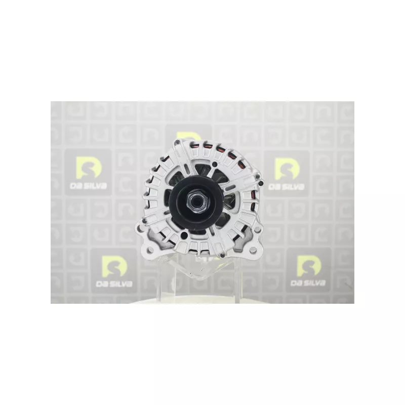 Alternateur DA SILVA 031700 - Visuel 1