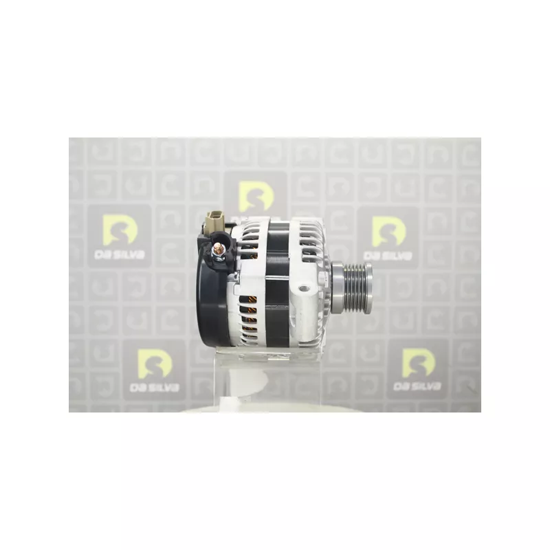 Alternateur DA SILVA 031712 - Visuel 1