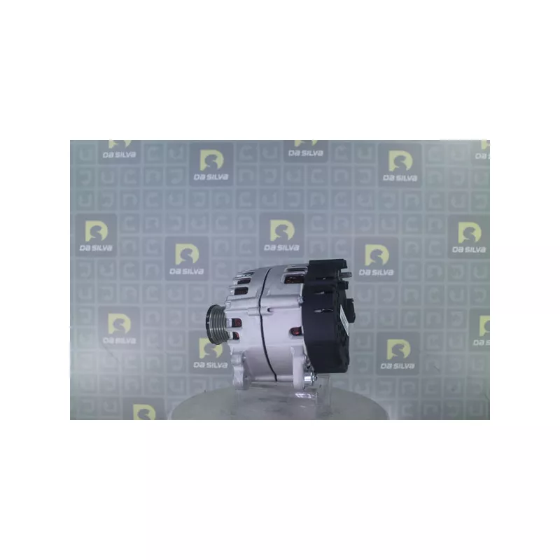 Alternateur DA SILVA 031721 - Visuel 2