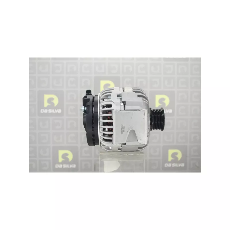 Alternateur DA SILVA 031815 - Visuel 1