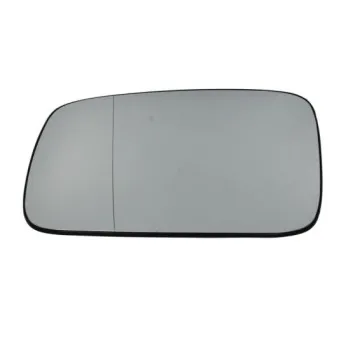 Vitre-miroir, unité de vitreaux BLIC OEM 701857521P