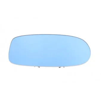 Verre de rétroviseur, rétroviseur extérieur BLIC 6102-02-1231555P