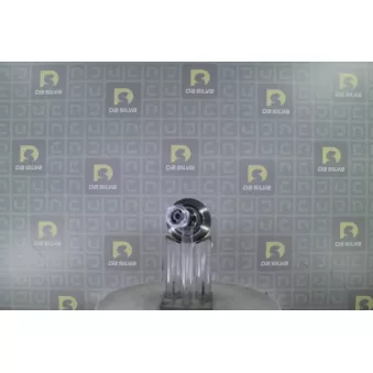 Embout de cardan avant (kit de réparation) DA SILVA J3656