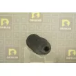 DA SILVA K5577 - Joint-soufflet, direction