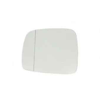 Verre de rétroviseur, rétroviseur extérieur BLIC 6102-02-5500791P