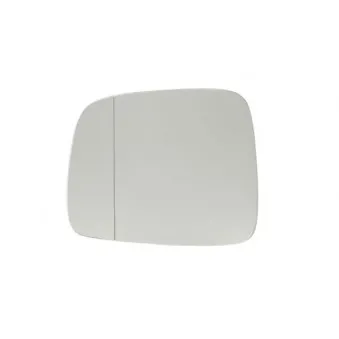 Verre de rétroviseur, rétroviseur extérieur BLIC 6102-02-5501691P