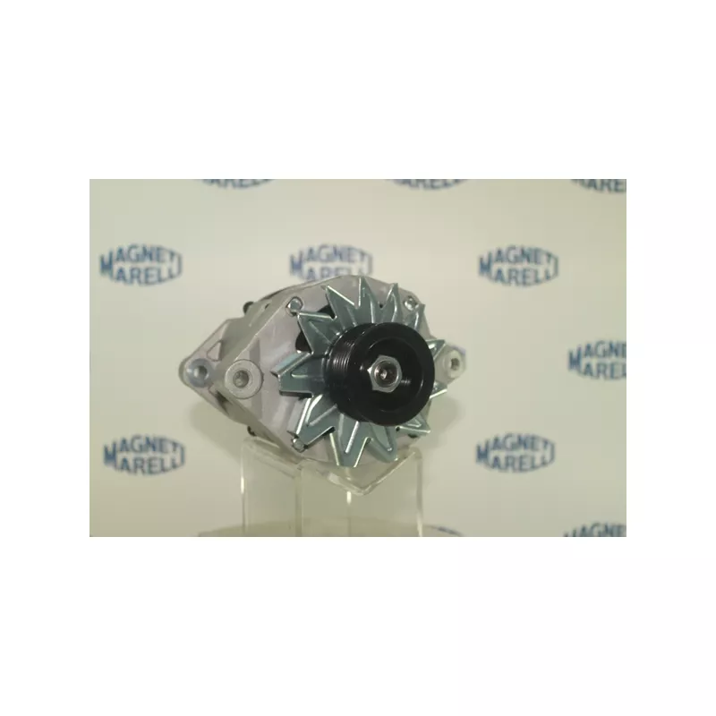 Alternateur DA SILVA MAQ0212 - Visuel 2