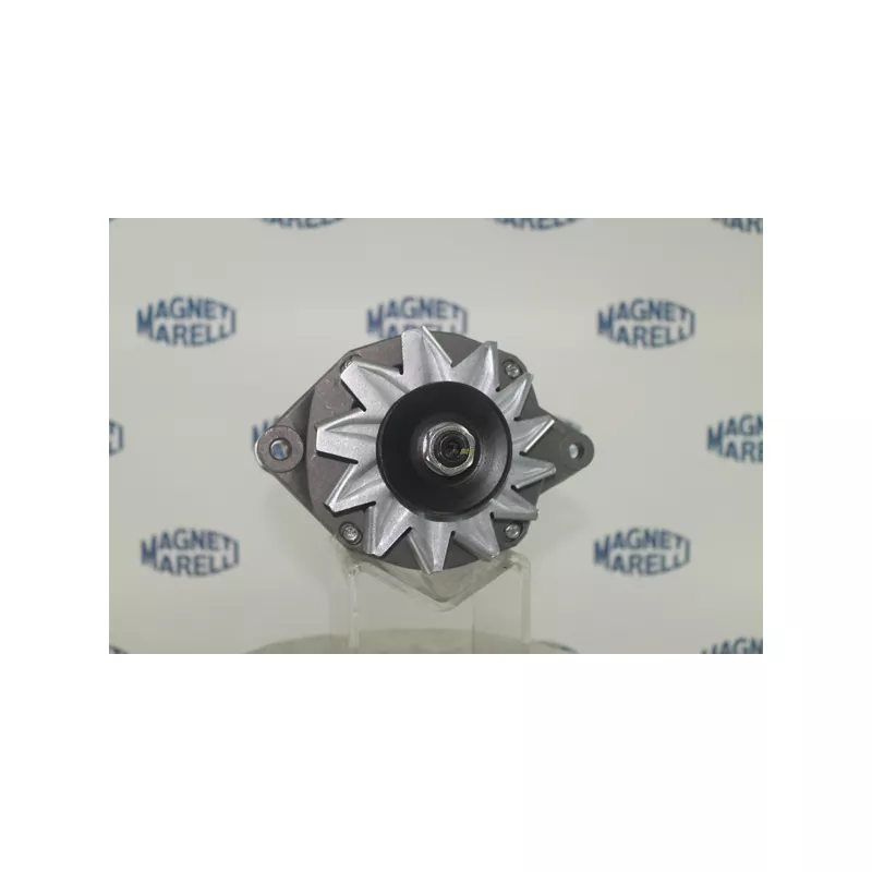 Alternateur DA SILVA MAQ0220 - Visuel 2