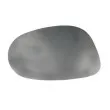 Verre de rétroviseur, rétroviseur extérieur BLIC [6102-03-048370P]