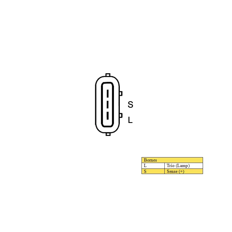 Alternateur DA SILVA MAQ0587 - Visuel 1