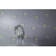 DA SILVA PL8101 - Poulie, vilebrequin