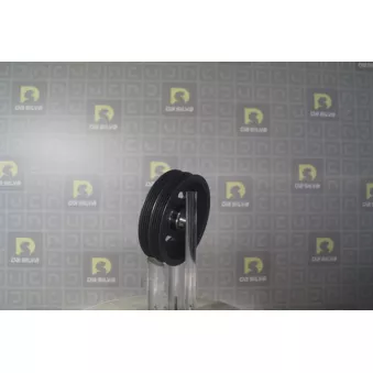 Poulie, vilebrequin DA SILVA OEM 1261069G00