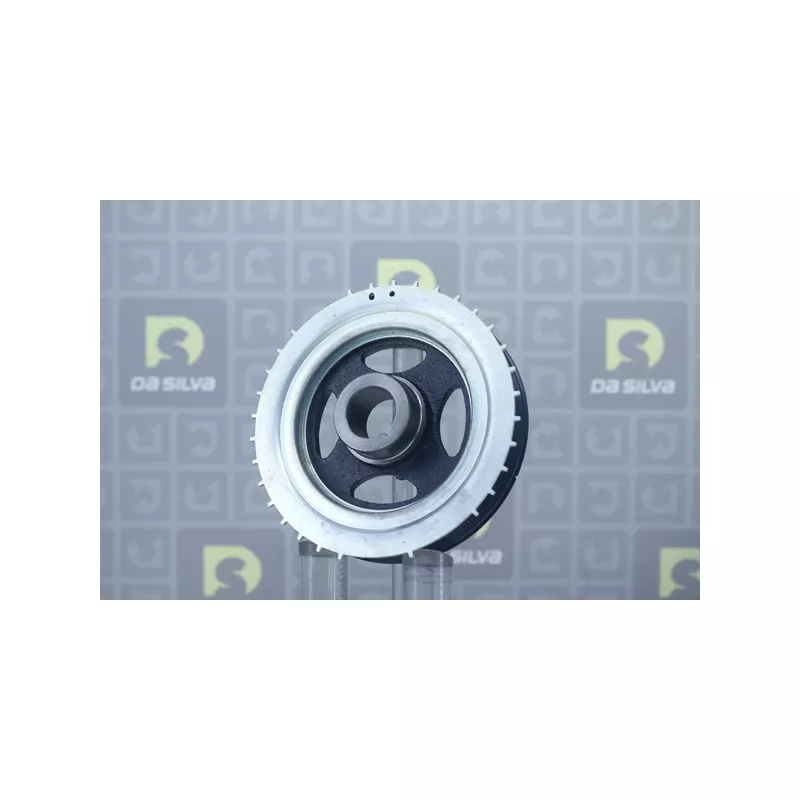 Poulie, vilebrequin DA SILVA PL8170 - Visuel 1