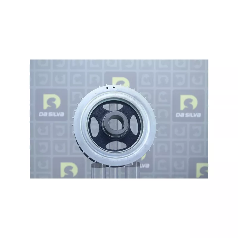 Poulie, vilebrequin DA SILVA PL8170 - Visuel 2