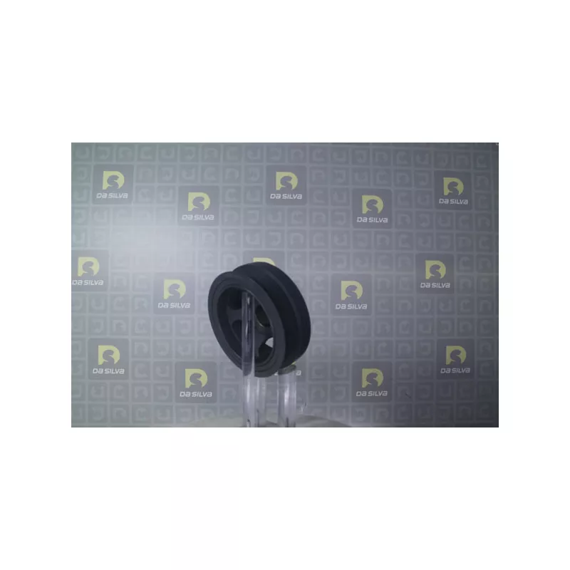Poulie, vilebrequin DA SILVA PL8184 - Visuel 2