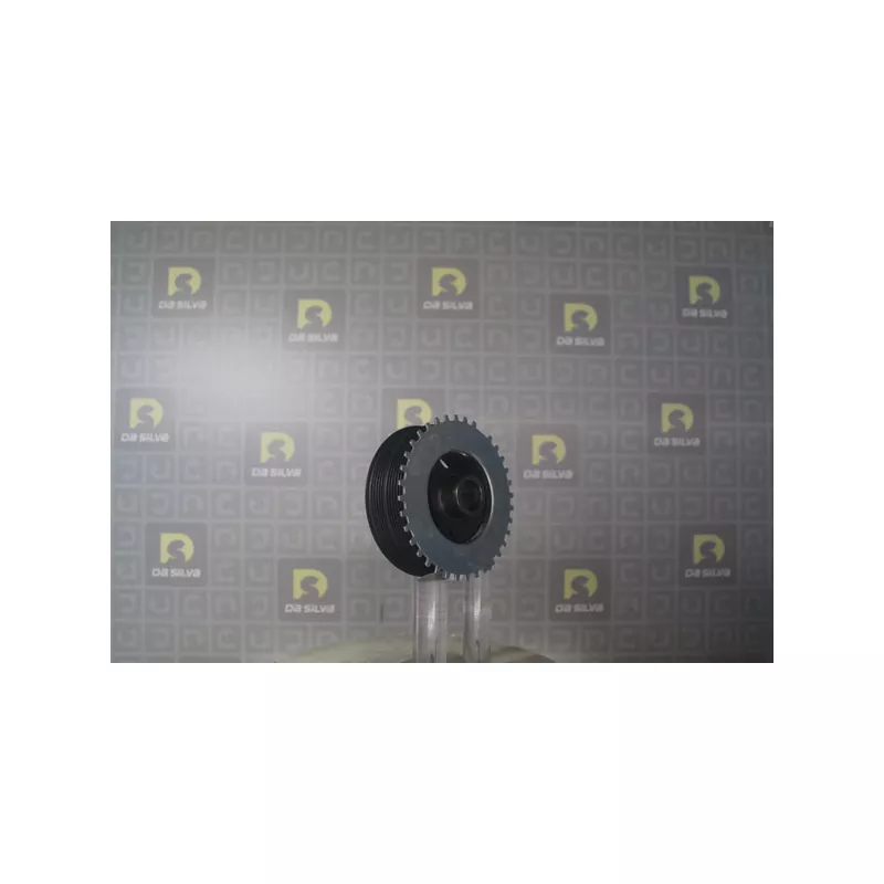 Poulie, vilebrequin DA SILVA PL8227 - Visuel 2