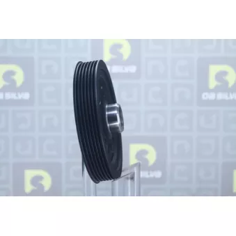 Poulie, vilebrequin DA SILVA PL8312