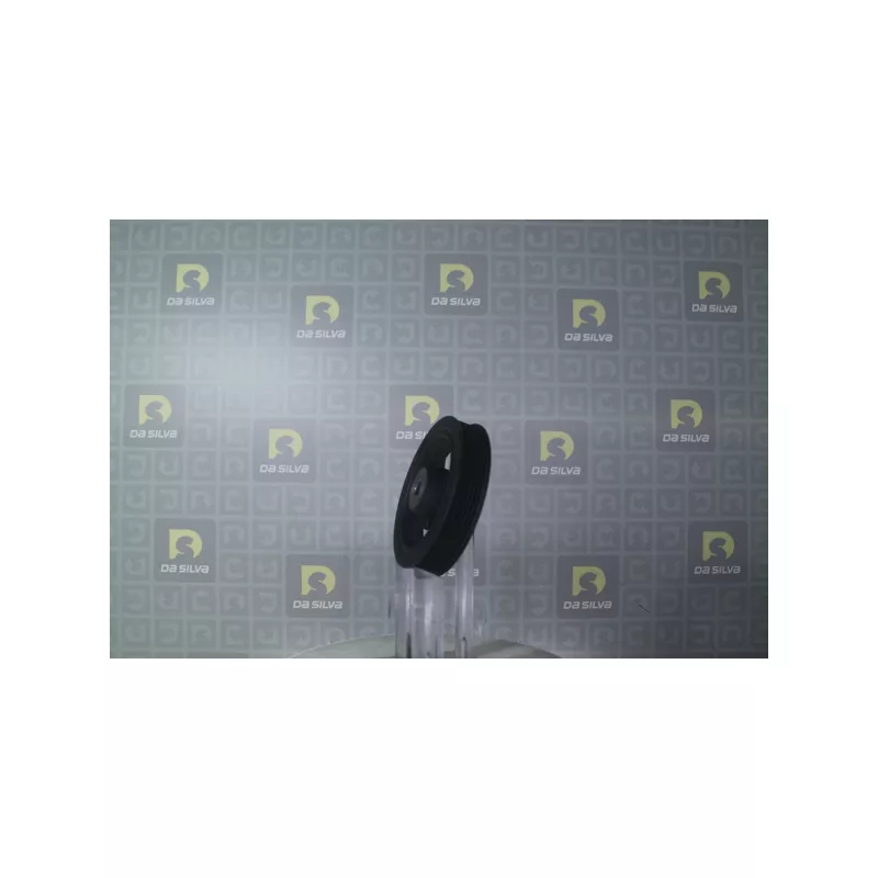 Poulie, vilebrequin DA SILVA PL8613 - Visuel 1