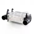 BSG BSG 11-535-003 - Intercooler, échangeur