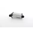BSG BSG 11-535-005 - Intercooler, échangeur