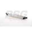 BSG BSG 11-535-006 - Intercooler, échangeur