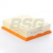 BSG BSG 15-135-027 - Filtre à air