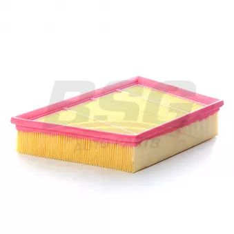 Filtre à air BSG OEM BJ329601AA
