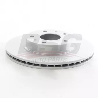 Jeu de 2 disques de frein avant BSG OEM SDB101070