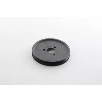 Poulie, pompe hydraulique (correcteur d'assiette) BSG OEM 32427790453