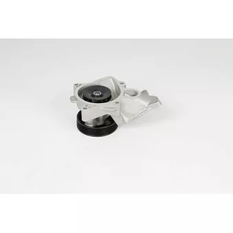 Pompe à eau BSG OEM peb102470