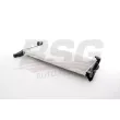BSG BSG 15-520-043 - Radiateur, refroidissement du moteur