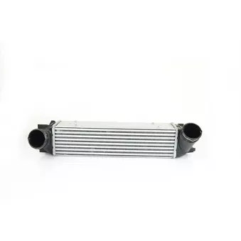 Intercooler, échangeur BSG BSG 15-535-001