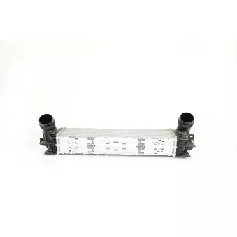 Intercooler, échangeur BSG BSG 15-535-002