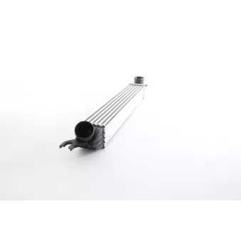 Intercooler, échangeur BSG BSG 15-535-003