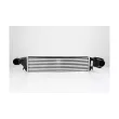 BSG BSG 15-535-005 - Intercooler, échangeur