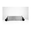 BSG BSG 15-535-007 - Intercooler, échangeur
